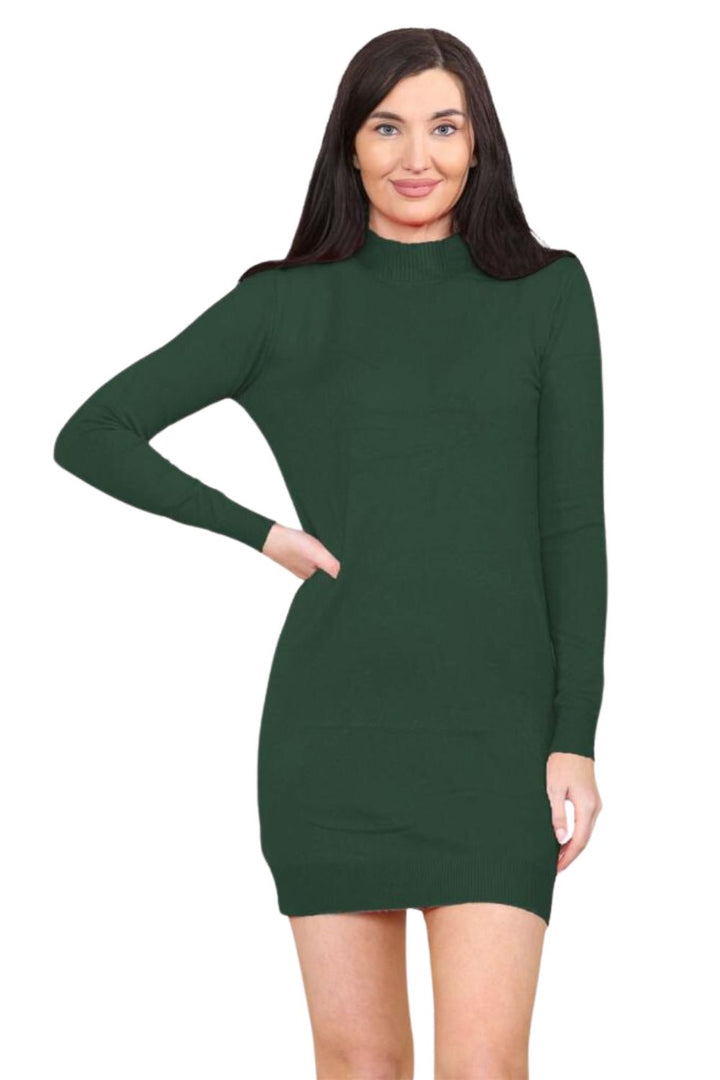 knitted Turtle Neck Bodycon