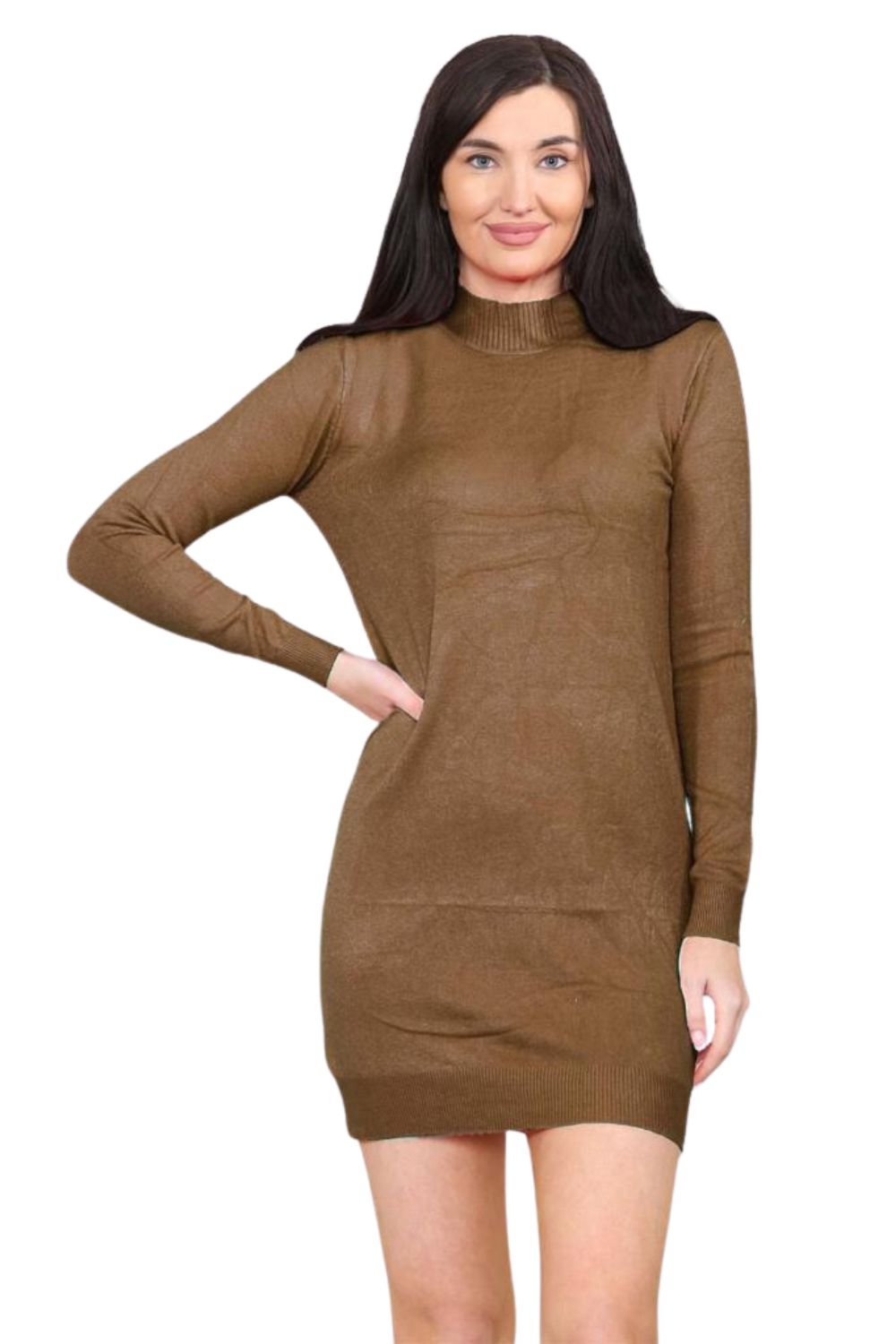 knitted Turtle Neck Bodycon