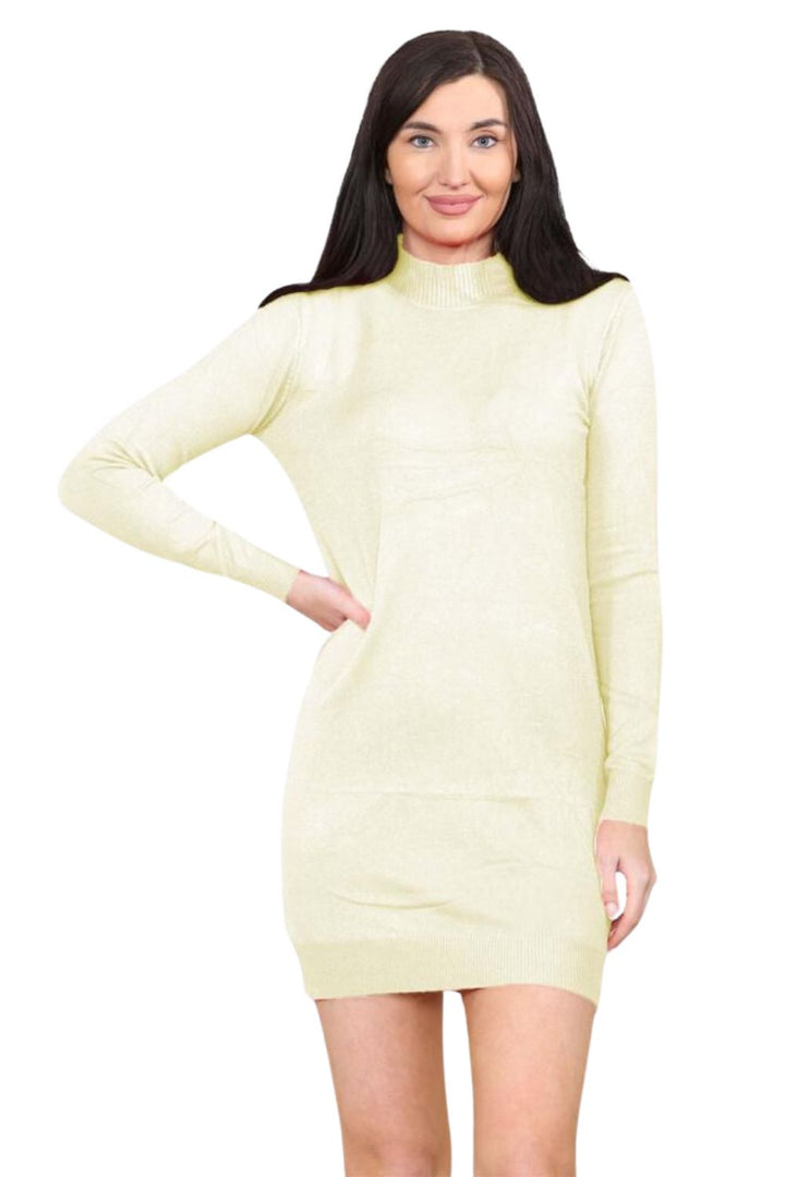 knitted Turtle Neck Bodycon