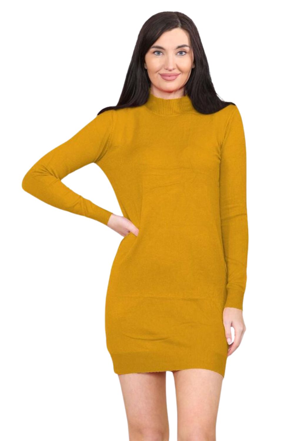 knitted Turtle Neck Bodycon