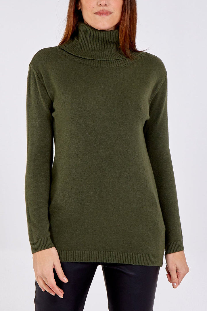 Plain Roll Neck Knit Jumper