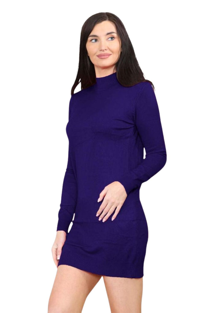 knitted Turtle Neck Bodycon