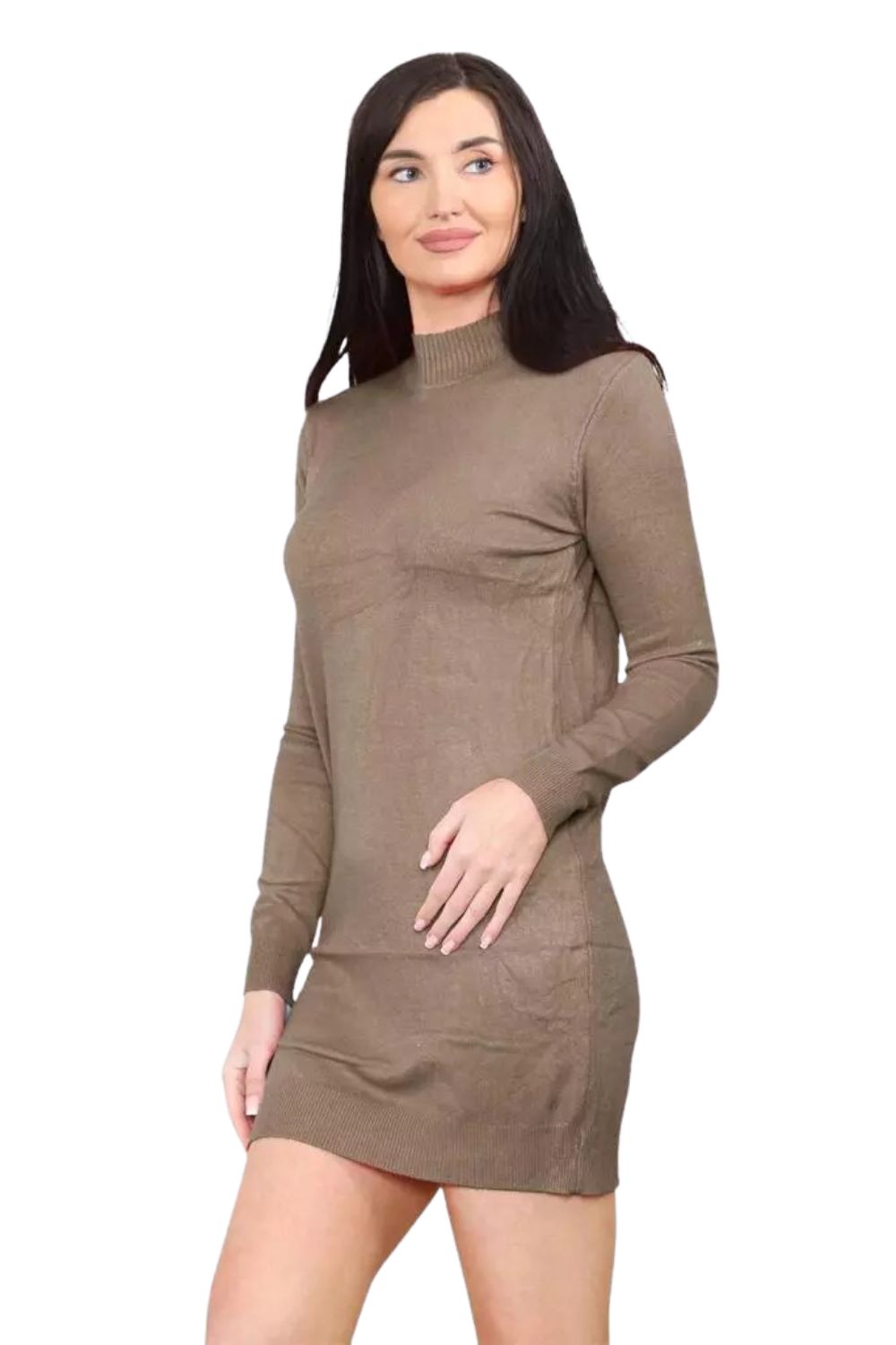 knitted Turtle Neck Bodycon