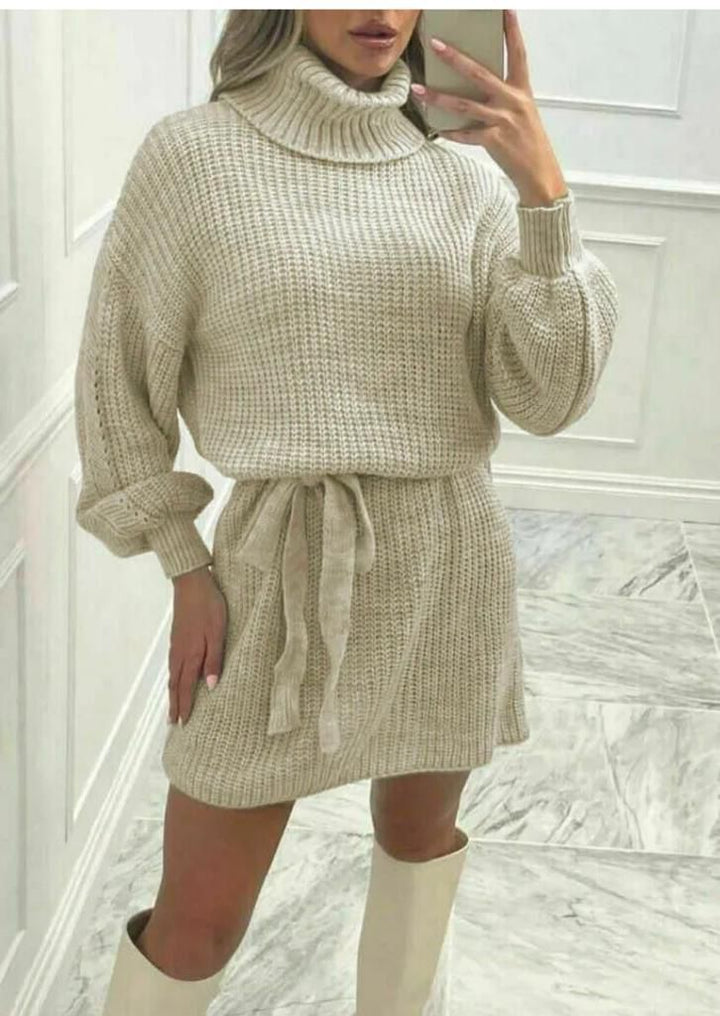 Polo Neck Belted Dress
