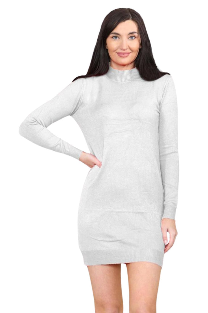 knitted Turtle Neck Bodycon