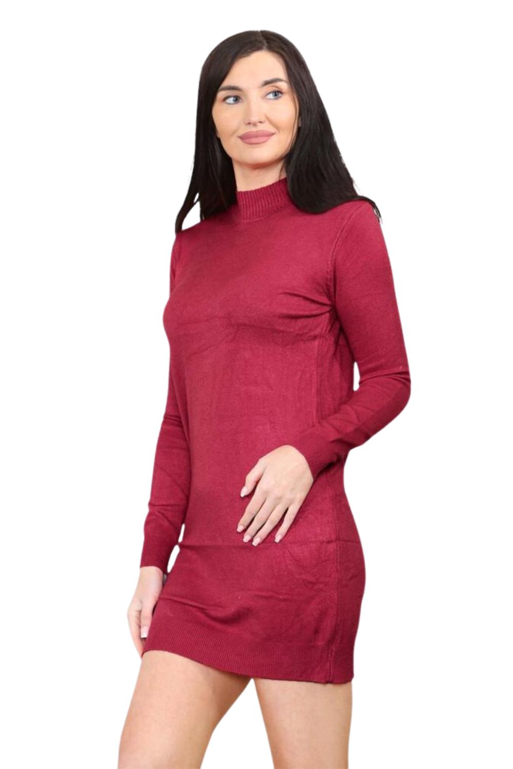 knitted Turtle Neck Bodycon