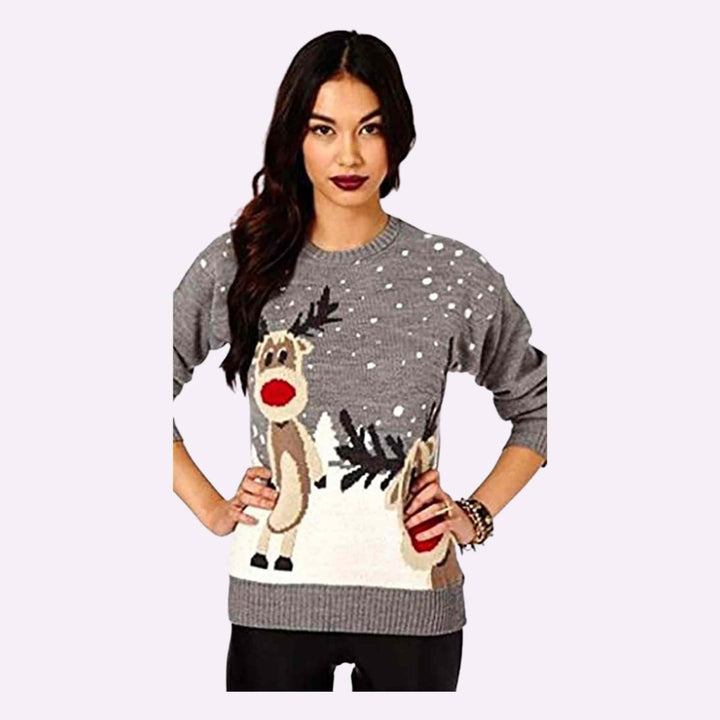 2 Reindeer Christmas Jumpers