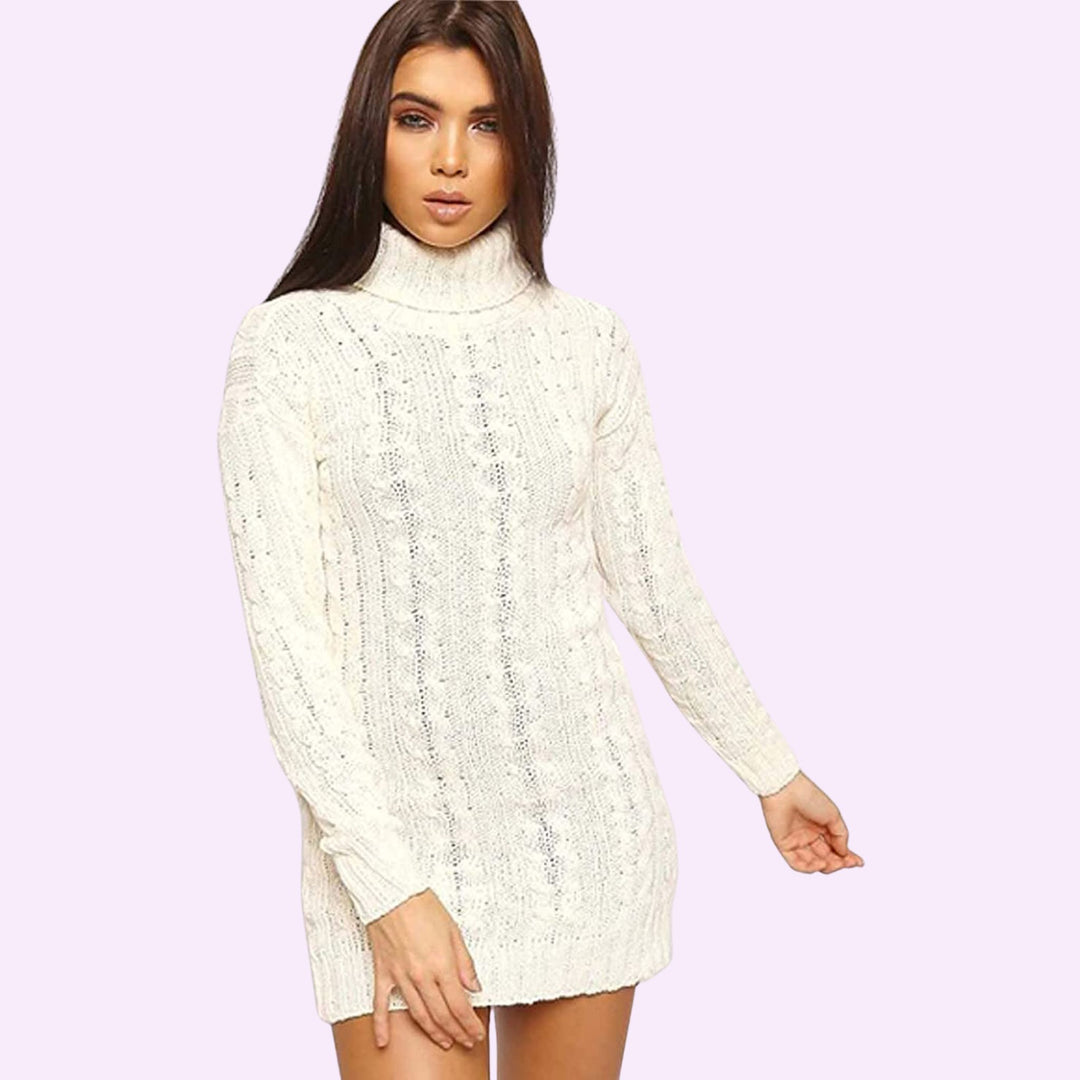 Knitted Polo Neck Dress