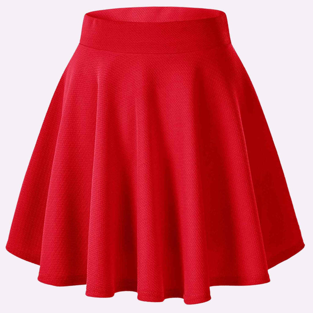 Flared Mini Skater Skirt