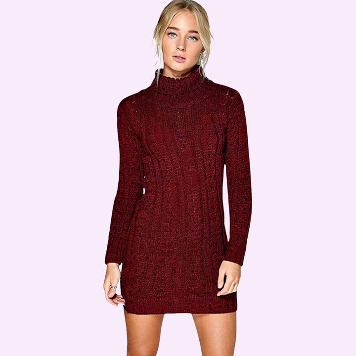 Knitted Polo Neck Dress